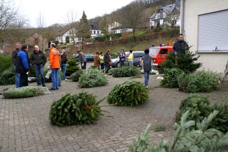 Weihnachtsbaumverkauf 2008 Bild Nr.025